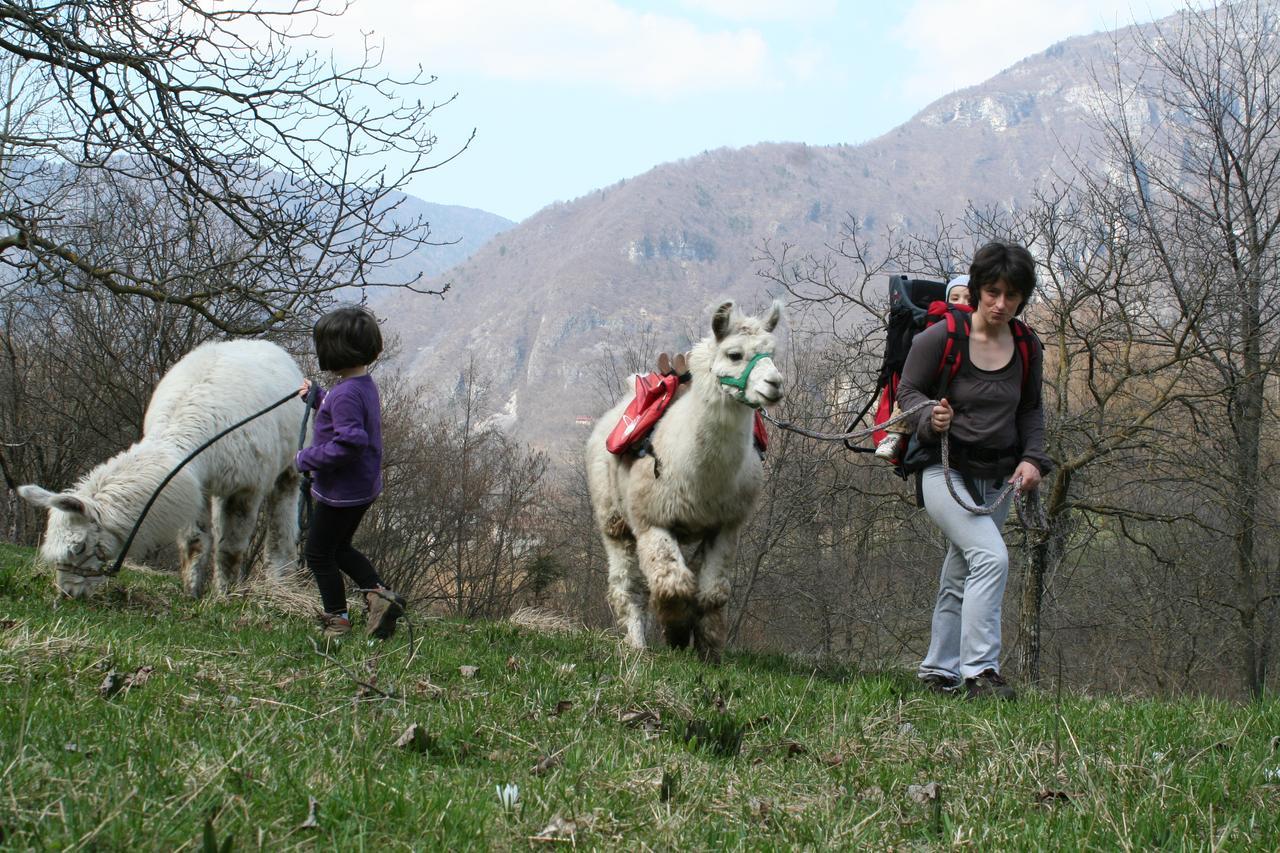 Il Capriolo Felice - Agriturismo Lastebasse エクステリア 写真